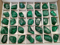Polished Flower Malachite Free Forms x 35 From Congo - Toprock Gemstones and Minerals
