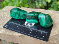 Polished Flower Malachite Free Forms x 35 From Congo - Toprock Gemstones and Minerals
