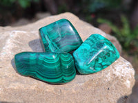 Polished Flower Malachite Free Forms x 35 From Congo - Toprock Gemstones and Minerals