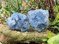 Natural Celestite Specimens x 2 From Sakoany, Madagascar - Toprock Gemstones and Minerals