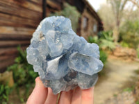 Natural Celestite Specimens x 2 From Sakoany, Madagascar - Toprock Gemstones and Minerals