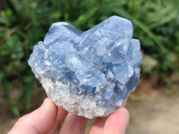 Natural Celestite Specimens x 2 From Sakoany, Madagascar - Toprock Gemstones and Minerals