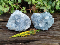 Natural Celestite Specimens x 2 From Sakoany, Madagascar - Toprock Gemstones and Minerals