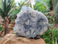 Natural Celestite Specimens x 2 From Sakoany, Madagascar - Toprock Gemstones and Minerals