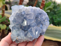 Natural Celestite Specimens x 2 From Sakoany, Madagascar - Toprock Gemstones and Minerals