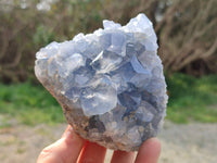Natural Celestite Specimens x 2 From Sakoany, Madagascar - Toprock Gemstones and Minerals