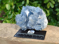 Natural Celestite Specimens x 2 From Sakoany, Madagascar - Toprock Gemstones and Minerals