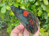 Polished Bloodstone Points x 4 From Swaziland - Toprock Gemstones and Minerals