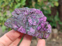 Natural Metallic Purpurite Specimens x 12 From Erongo, Namibia - Toprock Gemstones and Minerals