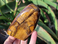 Polished Tigers Eye Standing Free Forms x 4 From South Africa - Toprock Gemstones and Minerals