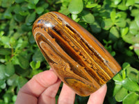 Polished Tigers Eye Standing Free Forms x 4 From South Africa - Toprock Gemstones and Minerals