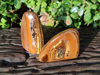 Polished Tigers Eye Standing Free Forms x 4 From South Africa - Toprock Gemstones and Minerals