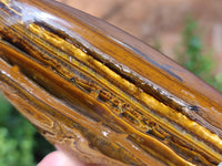 Polished Tigers Eye Standing Free Forms x 4 From South Africa - Toprock Gemstones and Minerals