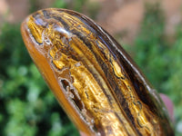 Polished Tigers Eye Standing Free Forms x 4 From South Africa - Toprock Gemstones and Minerals