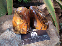 Polished Tigers Eye Standing Free Forms x 4 From South Africa - Toprock Gemstones and Minerals