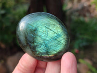 Polished Labradorite Palm Stones x 24 From Tulear, Madagascar - Toprock Gemstones and Minerals