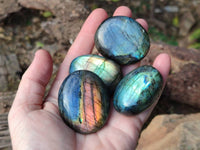Polished Labradorite Palm Stones x 24 From Tulear, Madagascar - Toprock Gemstones and Minerals