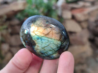 Polished Labradorite Palm Stones x 24 From Tulear, Madagascar - Toprock Gemstones and Minerals