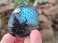Polished Labradorite Palm Stones x 24 From Tulear, Madagascar - Toprock Gemstones and Minerals