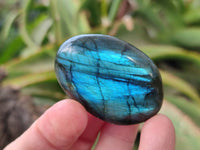 Polished Labradorite Palm Stones x 24 From Tulear, Madagascar - Toprock Gemstones and Minerals