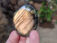 Polished Labradorite Palm Stones x 24 From Tulear, Madagascar - Toprock Gemstones and Minerals