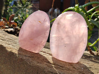 Polished Rose Quartz Standing Free Forms x 2 From Madagascar - Toprock Gemstones and Minerals
