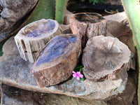 Polished On One Side Petrified Wood Branches x 4 From Gokwe, Zimbabwe - Toprock Gemstones and Minerals