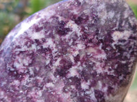 Polished Lepidolite Standing Free Forms x 2 From Zimbabwe - Toprock Gemstones and Minerals