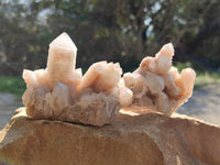Natural Fairy Spirit Quartz Clusters x 6 From South Africa - Toprock Gemstones and Minerals
