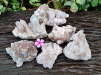 Natural Fairy Spirit Quartz Clusters x 6 From South Africa - Toprock Gemstones and Minerals