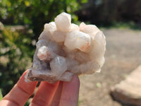 Natural Fairy Spirit Quartz Clusters x 6 From South Africa - Toprock Gemstones and Minerals