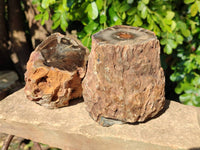 Polished On One Side Petrified Wood Branches x 3 From Gokwe, Zimbabwe - Toprock Gemstones and Minerals