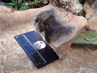 Polished On One Side Petrified Wood Branches x 3 From Gokwe, Zimbabwe - Toprock Gemstones and Minerals