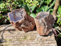 Polished On One Side Petrified Wood Branches x 3 From Gokwe, Zimbabwe - Toprock Gemstones and Minerals