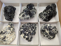 Natural Schorl Black Tourmaline Specimens x 6 From Erongo, Namibia - Toprock Gemstones and Minerals