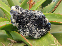 Natural Schorl Black Tourmaline Specimens x 6 From Erongo, Namibia - Toprock Gemstones and Minerals