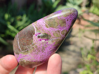 Polished Stichtite Free Forms x 6 From Barberton, South Africa - Toprock Gemstones and Minerals