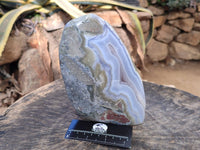 Polished Blue Lace Agate Standing Free Form x 1 From Nsanje, Malawi - Toprock Gemstones and Minerals