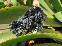 Natural Schorl Black Tourmaline Specimens x 6 From Erongo, Namibia - Toprock Gemstones and Minerals