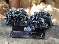 Natural Schorl Black Tourmaline Specimens x 6 From Erongo, Namibia - Toprock Gemstones and Minerals