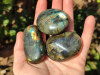 Polished Labradorite Palm Stones x 24 From Tulear, Madagascar - Toprock Gemstones and Minerals