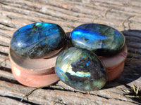 Polished Labradorite Palm Stones x 24 From Tulear, Madagascar - Toprock Gemstones and Minerals