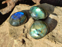 Polished Labradorite Palm Stones x 24 From Tulear, Madagascar - Toprock Gemstones and Minerals