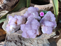 Natural Amethyst Spirit Quartz Clusters x 4 From Boekenhouthoek, South Africa - Toprock Gemstones and Minerals