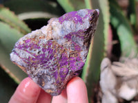 Natural Metallic Purpurite Specimens x 12 From Erongo, Namibia - Toprock Gemstones and Minerals