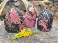 Polished Rhodonite Standing Free Forms x 3 From Ambindavato, Madagascar - Toprock Gemstones and Minerals