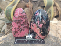Polished Rhodonite Standing Free Forms x 3 From Ambindavato, Madagascar - Toprock Gemstones and Minerals