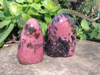 Polished Rhodonite Standing Free Forms x 3 From Ambindavato, Madagascar - Toprock Gemstones and Minerals