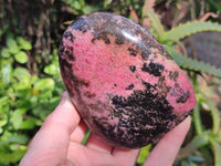 Polished Rhodonite Standing Free Forms x 3 From Ambindavato, Madagascar - Toprock Gemstones and Minerals