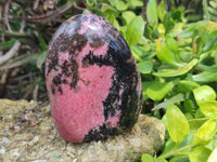 Polished Rhodonite Standing Free Forms x 3 From Ambindavato, Madagascar - Toprock Gemstones and Minerals